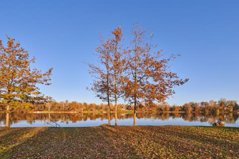 Gemeinde Kirchdorf Landkreis Rottal-Inn Waldsee Lago Herbst (Dirschl Johann) Deutschland PAN